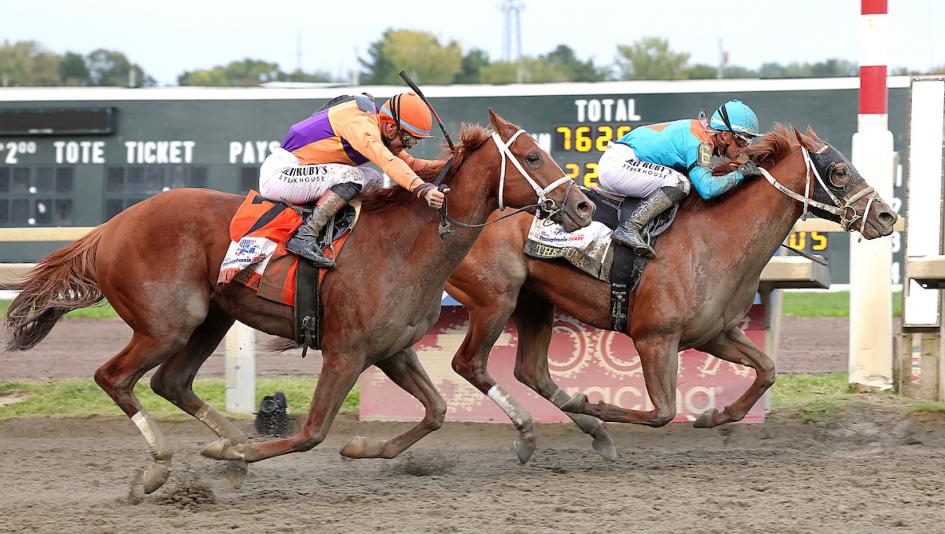 The Puma Wins Pennsylvania Derby, Bodacious Bay Takes Cotillion